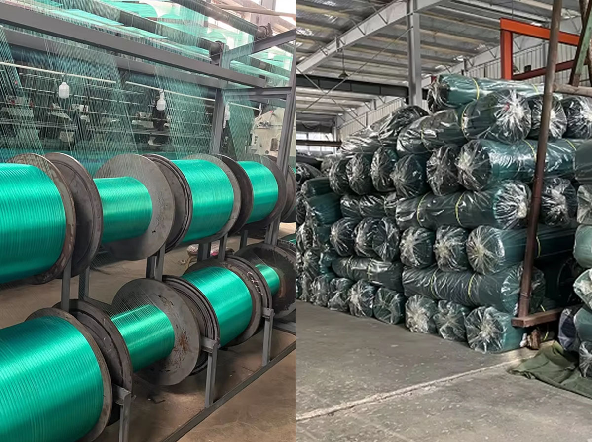 usine de filet d'oiseau