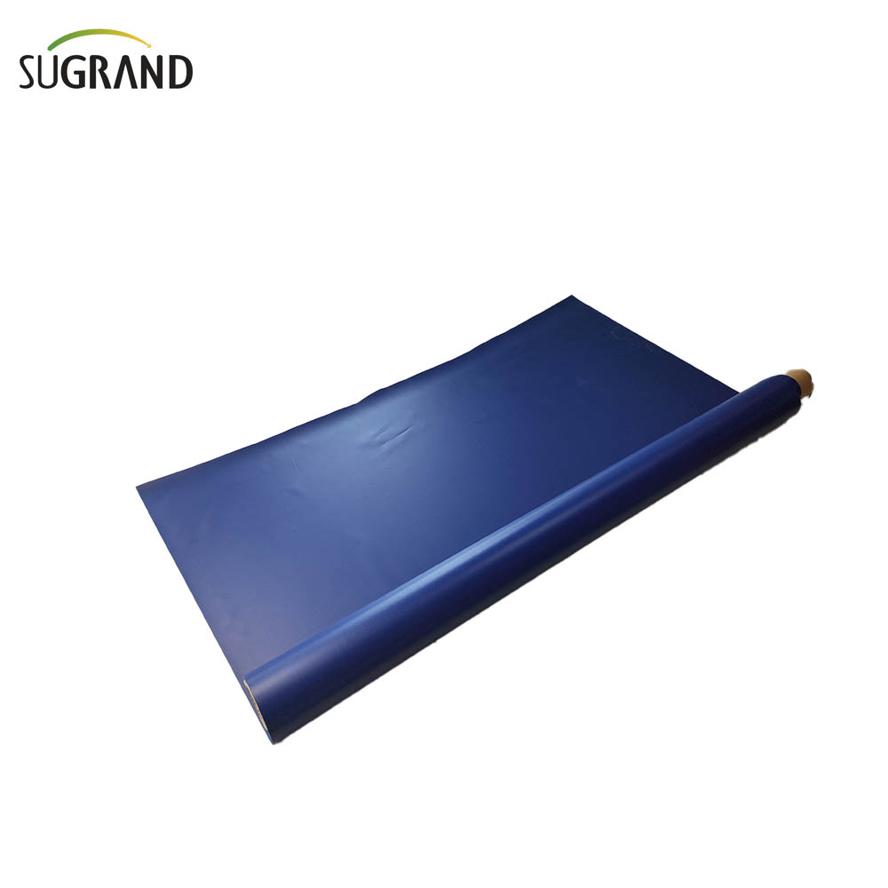 Tarpauline bleue 12x24 