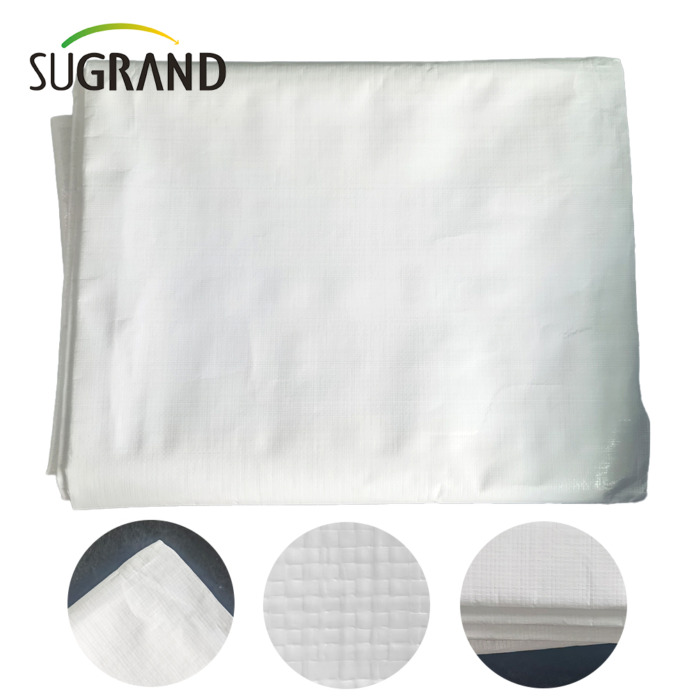 PE White Tarpaulin dans Roll for Agriculture Industrial Outdoor Covers