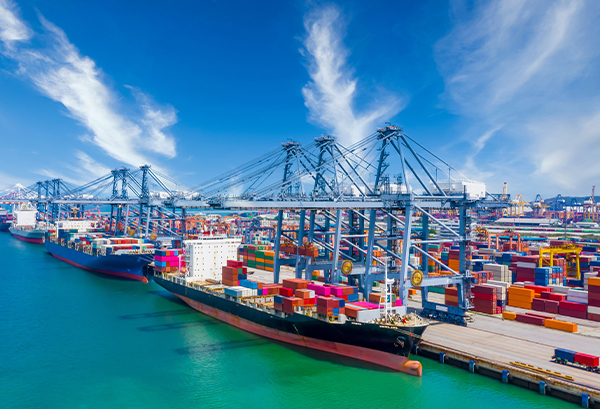 Riche expérience dans la production et l'exportation 