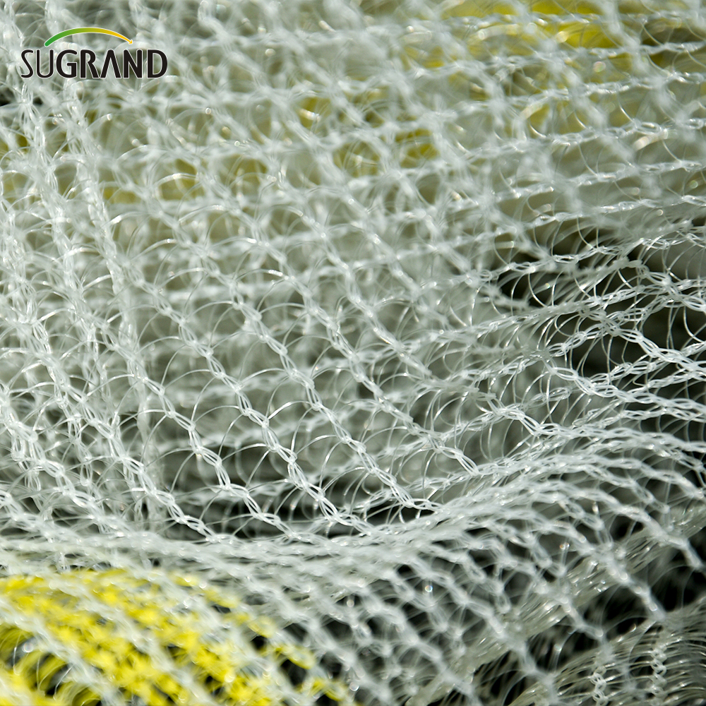 Filet anti-grêle blanc en gros pour l'extérieur