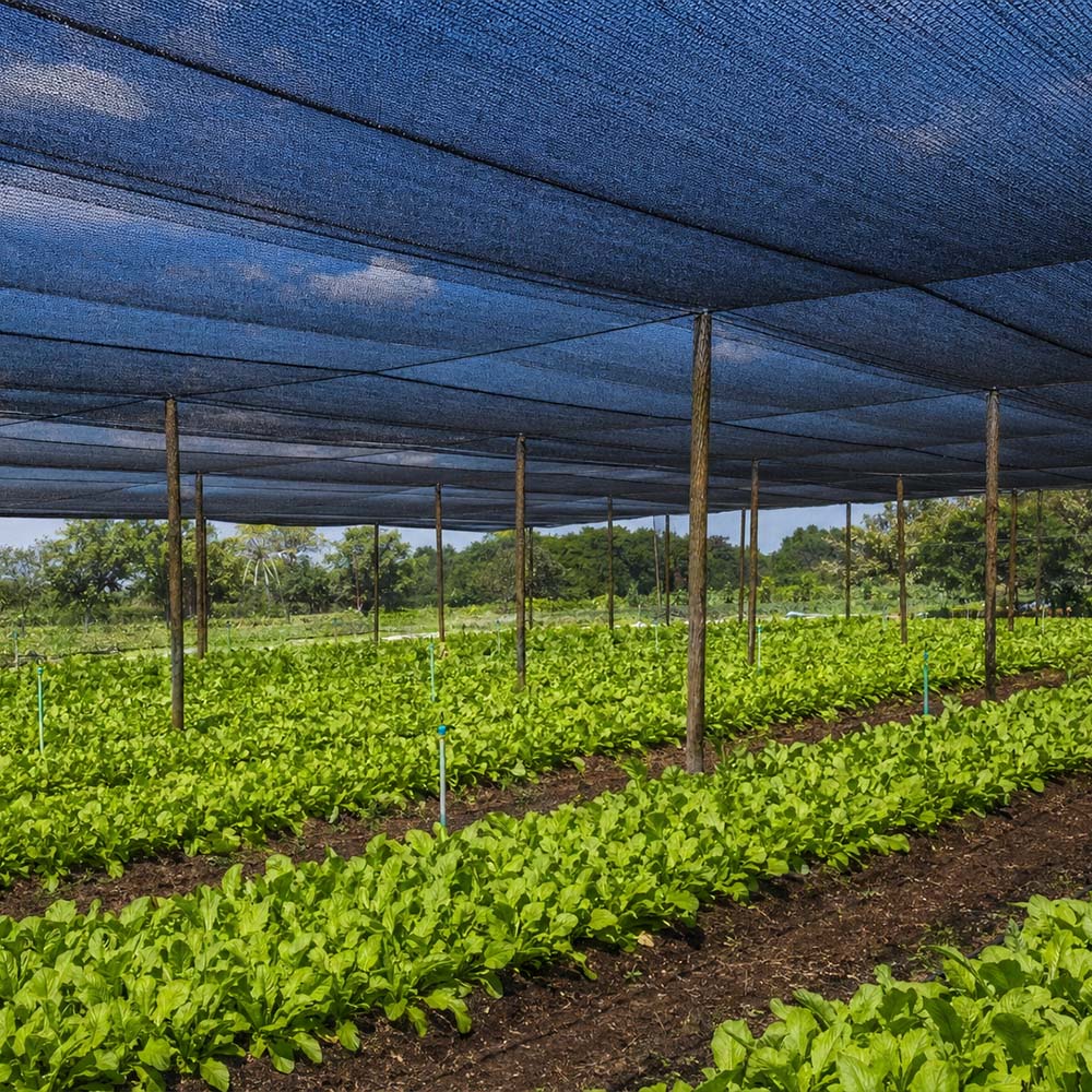Filet d'ombrage mono noir tricoté en gros HDPE