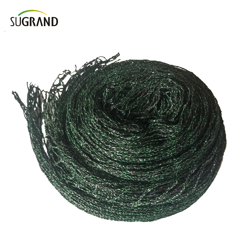 République tchèque 100% HDPE + UV 25GSM 20 * 20 mm Mesh 5 * 6/12m Black Green Agriculture Catching Bird Mist Netting