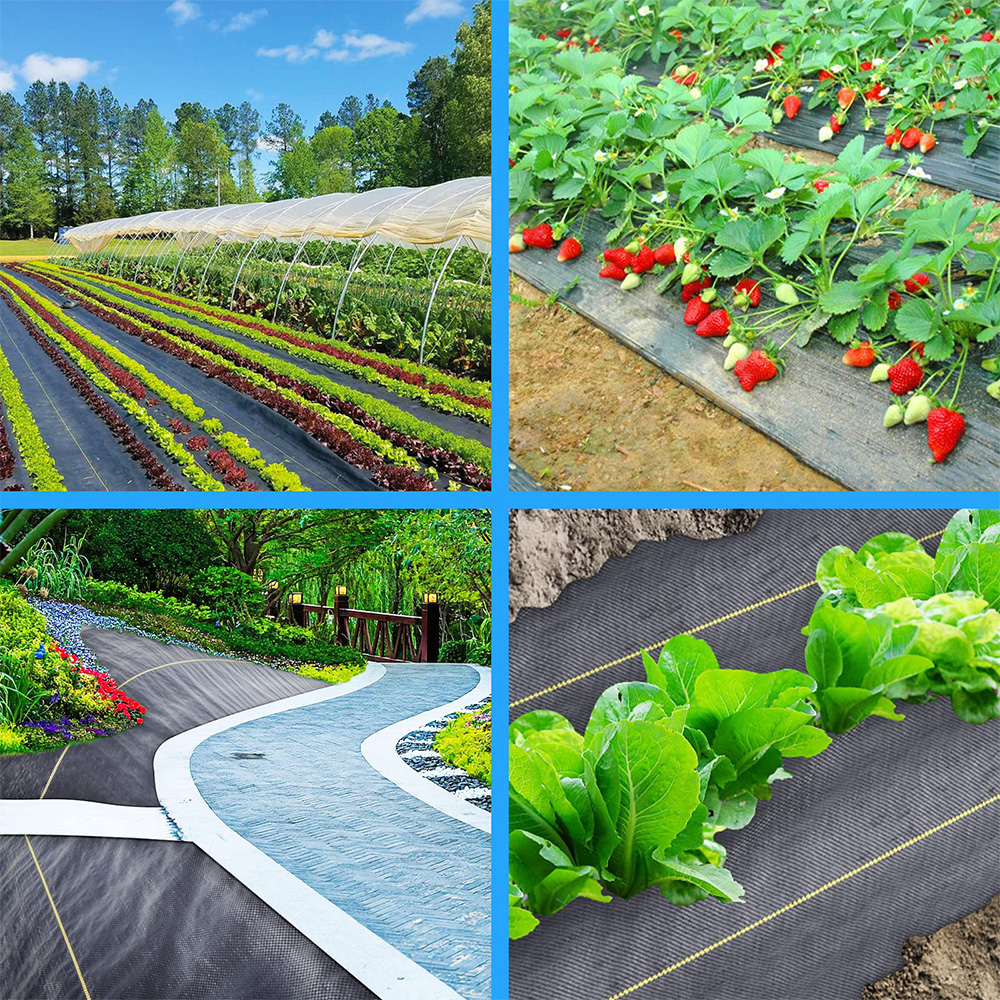 Polypropylène (PP) Couvre-sol tissé Barrière des mauvaises herbes