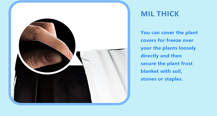 film de paillage (7)