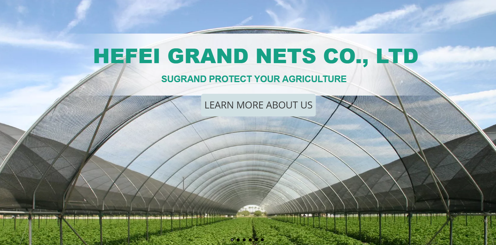 Quelle est la meilleure couverture au sol pour le contrôle des mauvaises herbes?