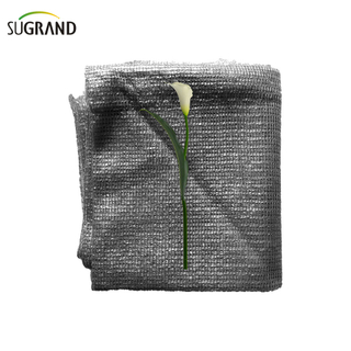 Six aiguilles mono rubans de nuance noire net