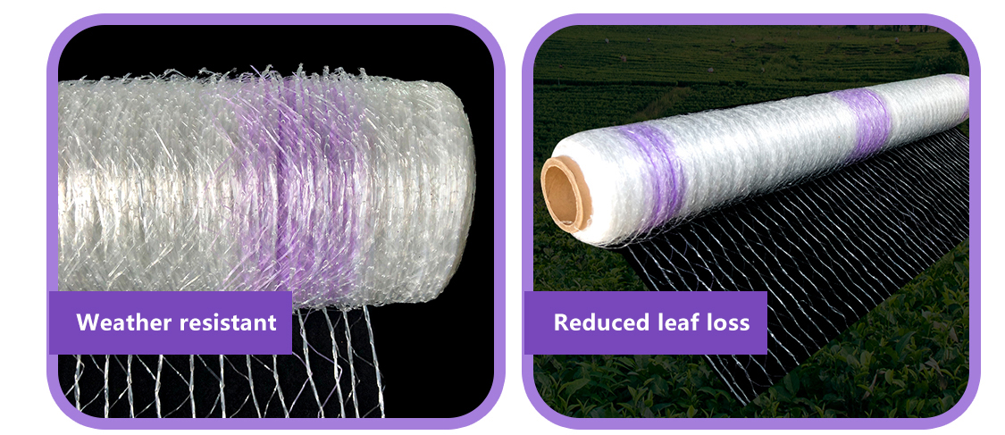 filet &agrave; balles5