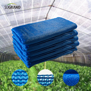 Deux aiguilles de ruban bleu + nuage de ruban adhésif net