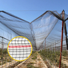 Filet anti-grêle tricoté de qualité supérieure pour les vignobles