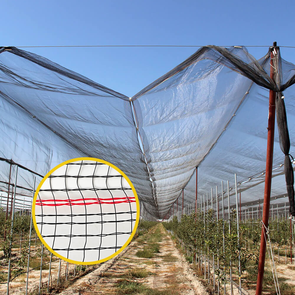 Filet anti-grêle tricoté de qualité supérieure pour les vignobles