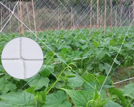 filet de soutien des plantes