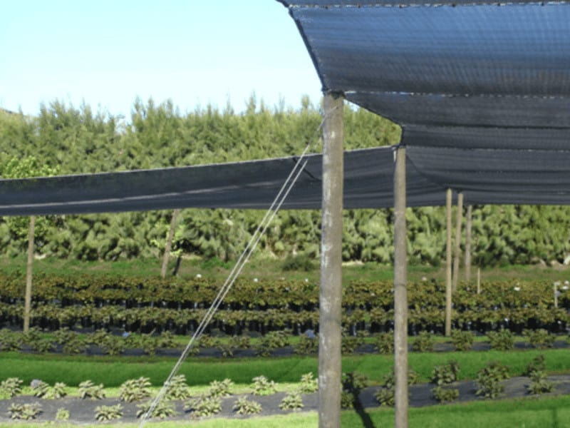 filet vert pour jardin