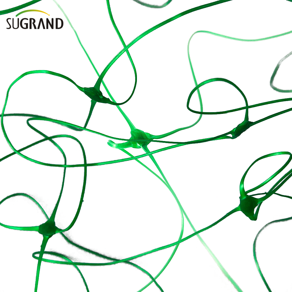 10gsm Green Plant Support Net / Bean Net