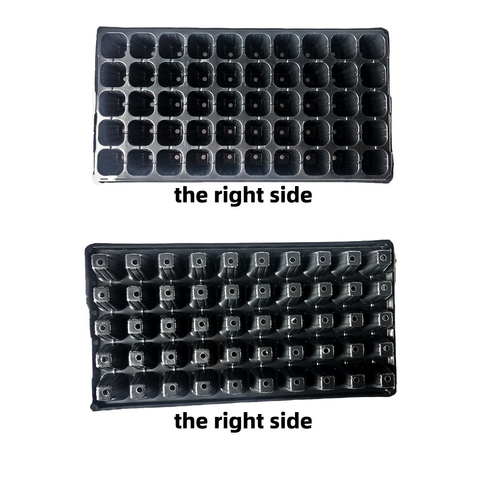 PVC Nursery Pot 200 trous de démarrage de semis de semis