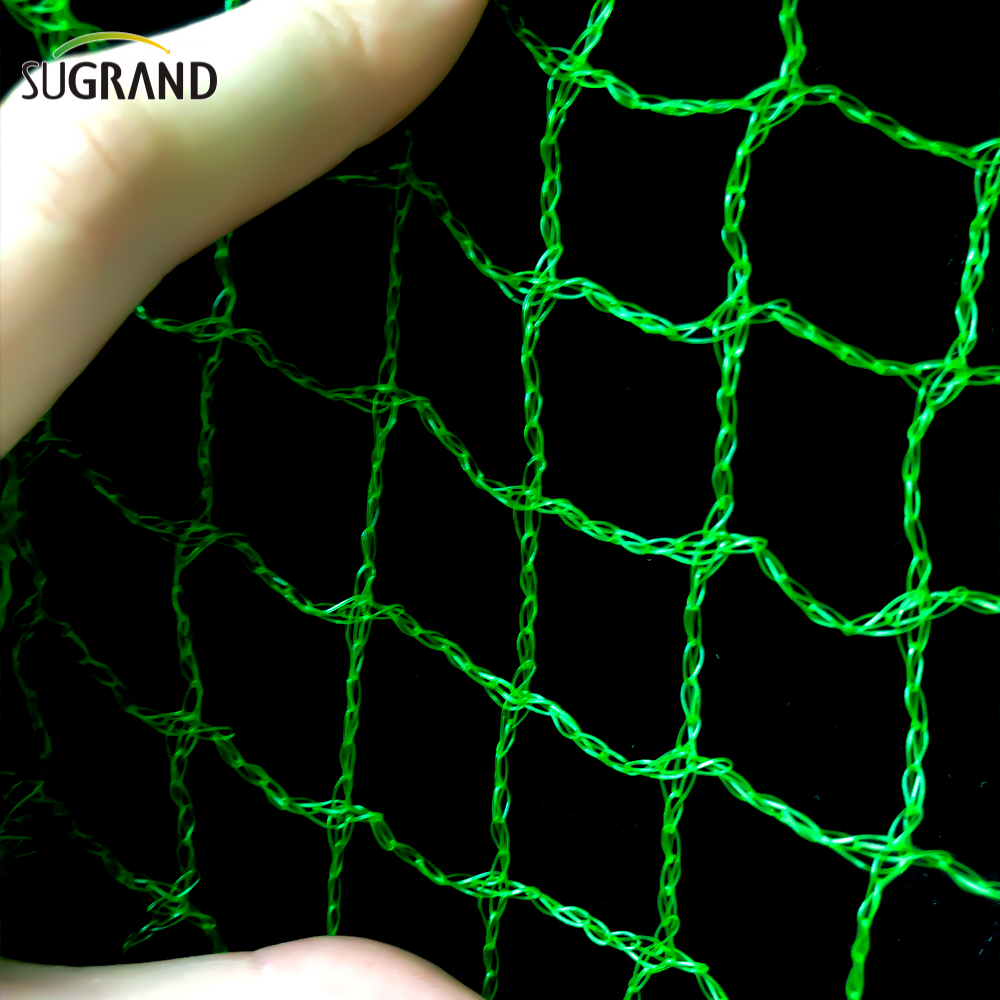 Filet d'oiseau vert tissé de 10 mm à 30 mm pour le filet d'oiseaux attrapant