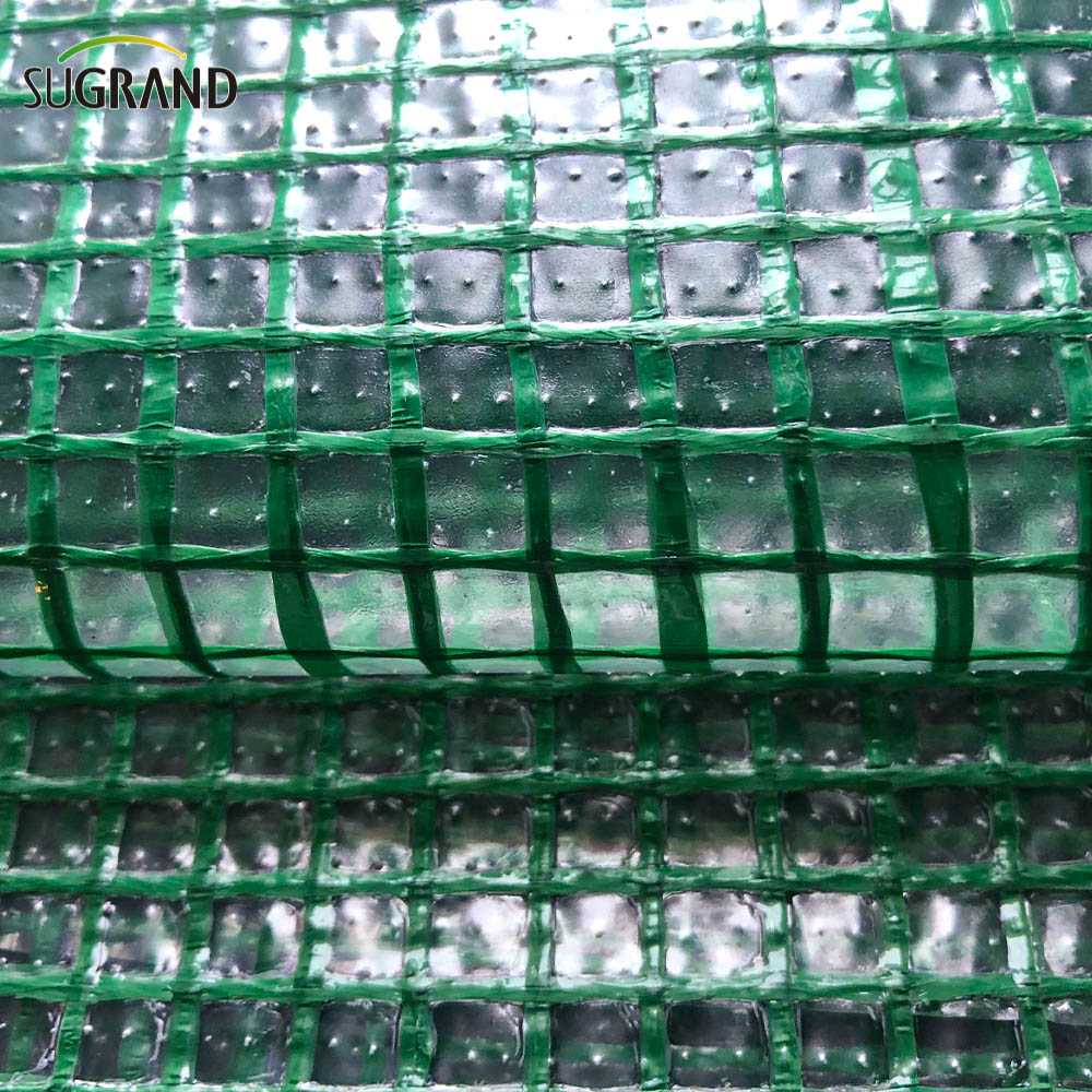 Construction Tarpaulin Sécurité Mesh net Mesh PE Tarpaulin