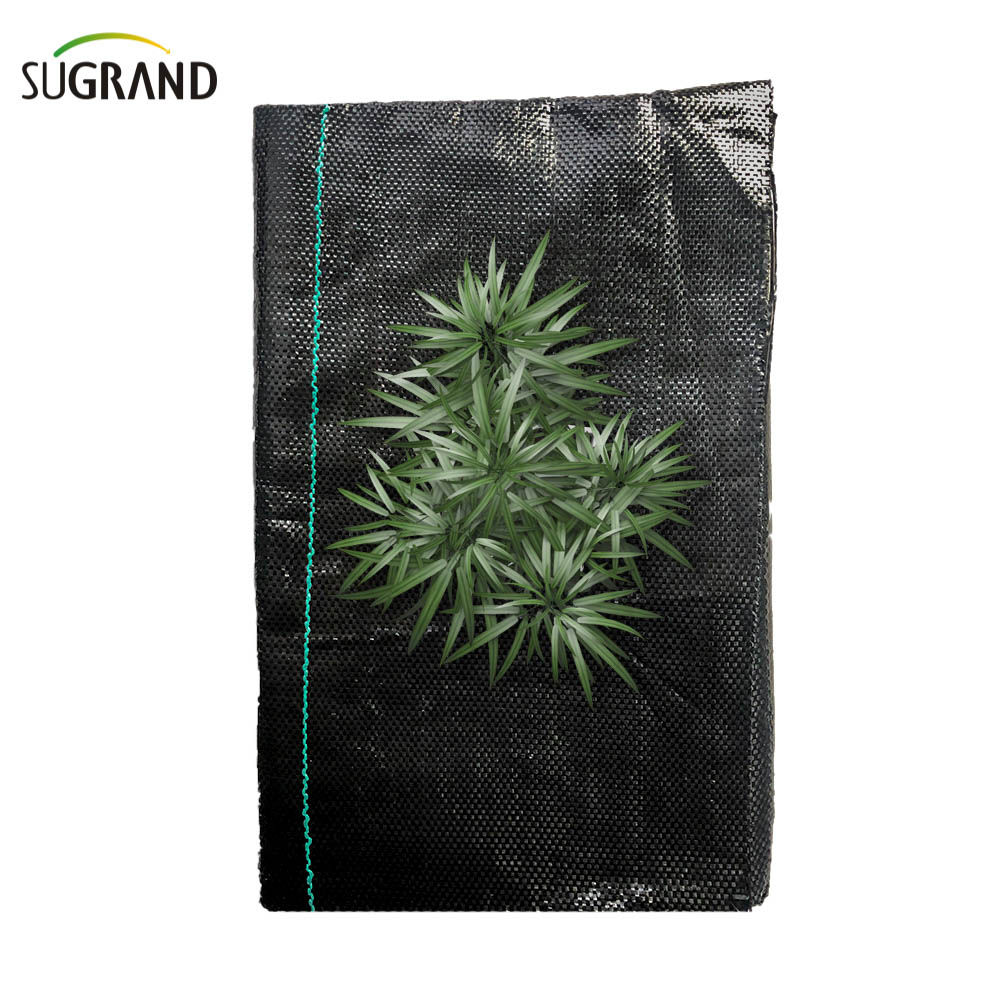 100% pp couverture de sol noir / tissu de barrière de mauvaises herbes
