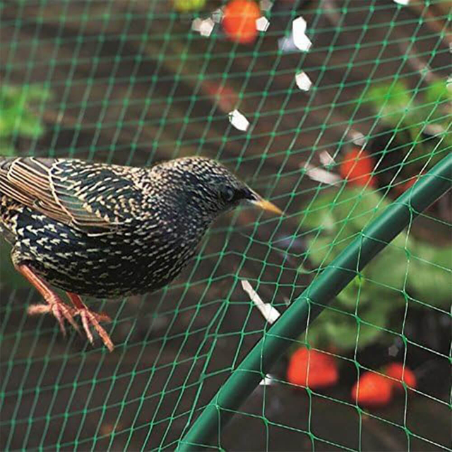 Filet anti-oiseaux pour verger et ferme
