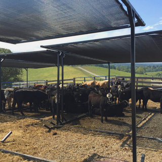 Usine de filets d'ombrage mono tricotés pour l'agriculture