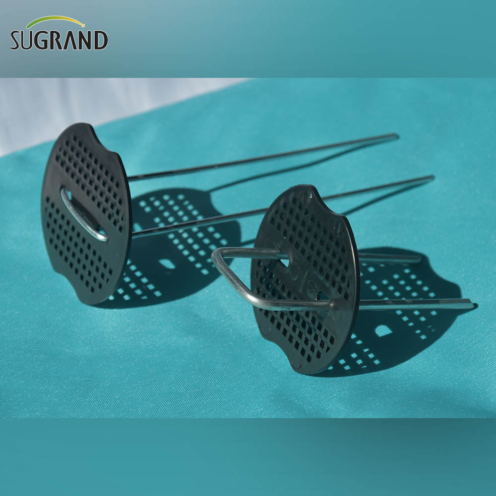 100% Virgin HDPE Anti UV Green Sun Shade Sail en plein air 