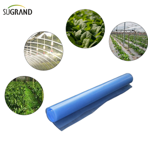  Film en polyéthylène en polyéthylène film en plastique en serre bleu 