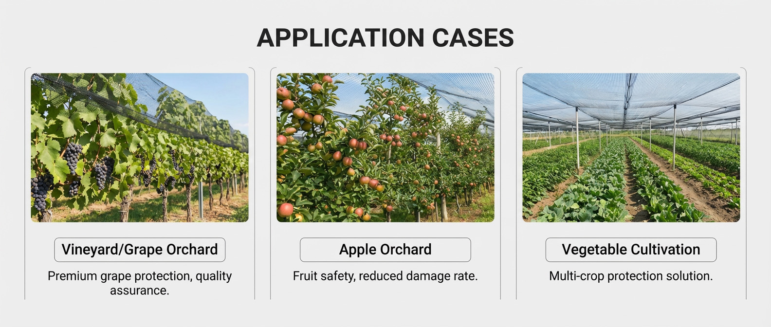 jardin avec filet de gr&ecirc;le.jpg