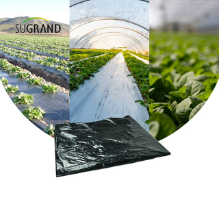 Prix ​​d'usine bon marché Black Plastic Brech Biodégradable Mulch Film For Agricultural