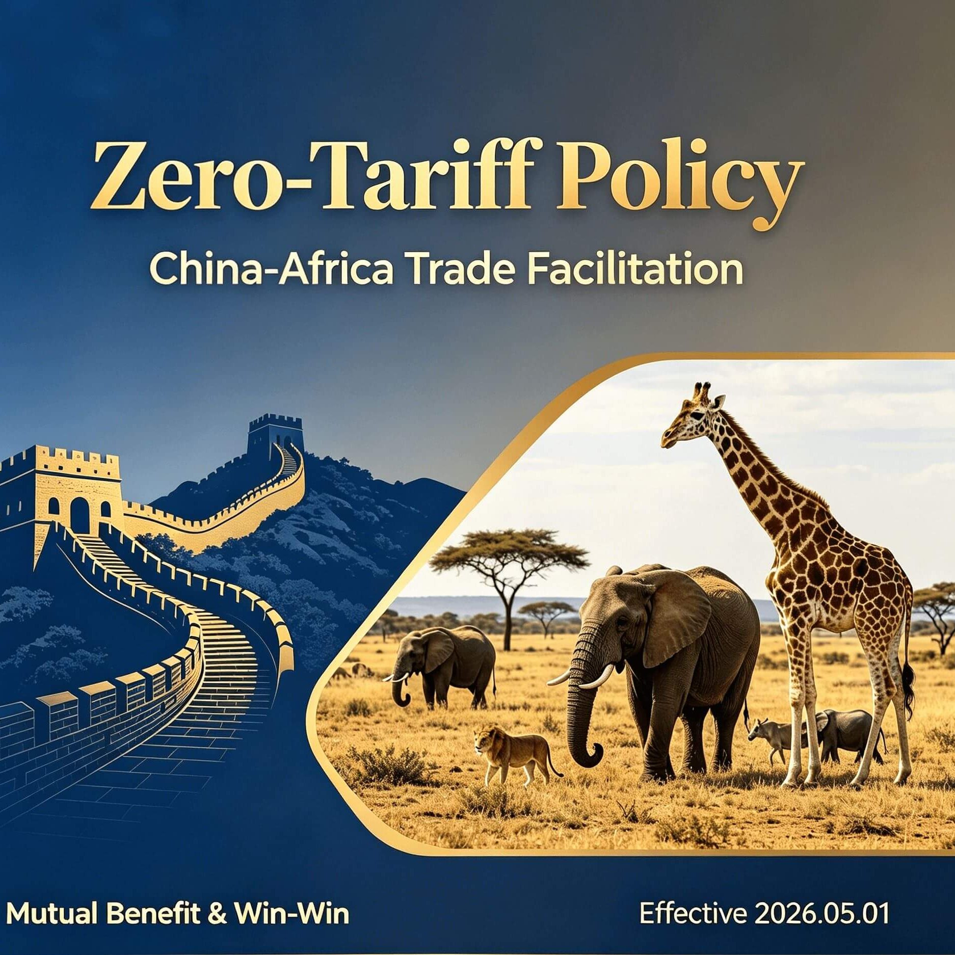 Tarif zéro Chine-Afrique : une nouvelle ère pour le commerce B2B
