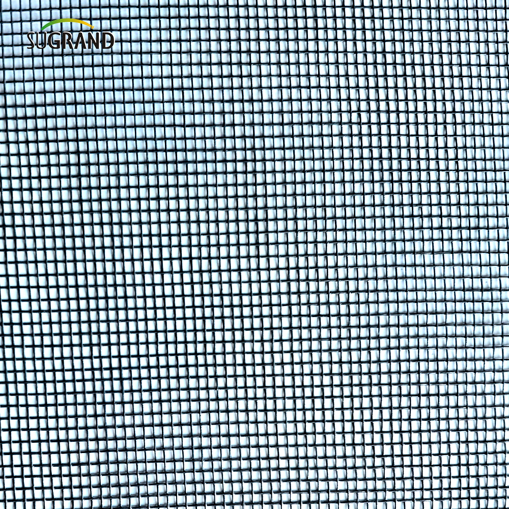 PVC Mosquito Mosquito Mosquito Mosquito Protection de PVC Rouleau de file