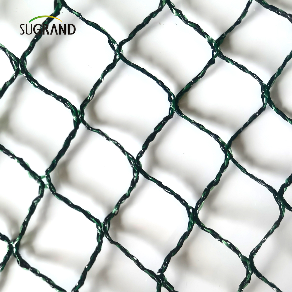 République tchèque 100% HDPE + UV 25GSM 20 * 20 mm Mesh 5 * 6/12m Black Green Agriculture Catching Bird Mist Netting
