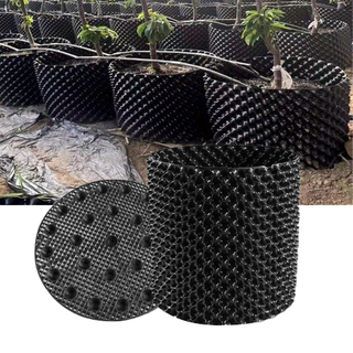 Récipient de contrôle de la racine de plante