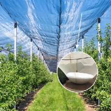 Comment choisir le bon filet anti-grêle