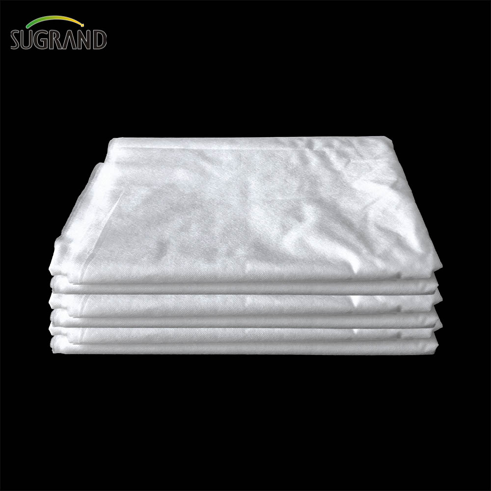 100g 2x50m Agriculture PP Tissu blanc non tissé 