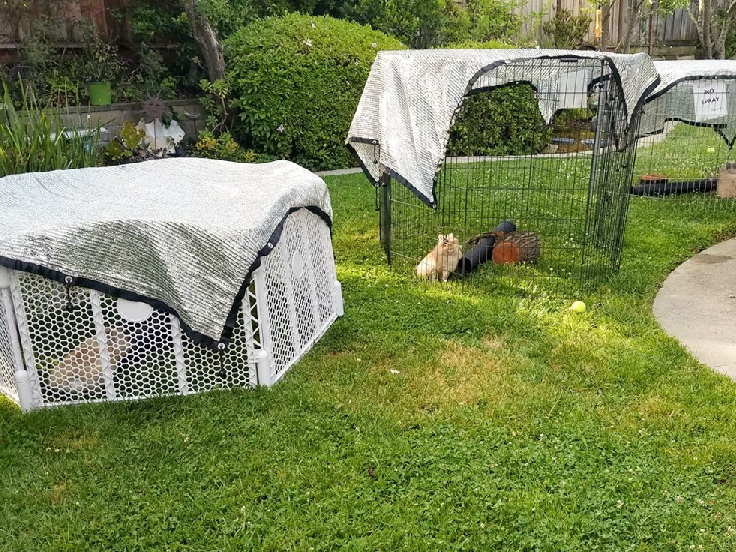 Top fabricants de netés de l'ombre agricole à Bangalore