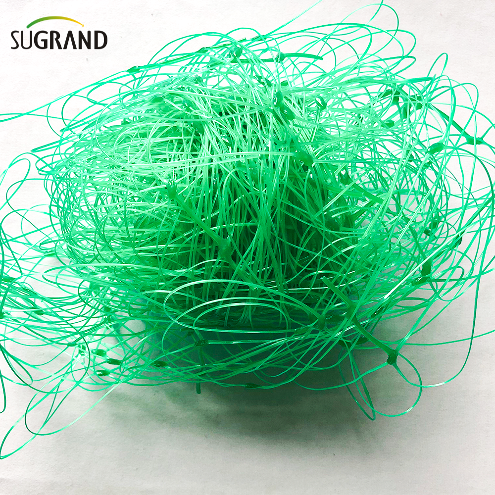 10gsm Green Plant Support Net / Bean Net