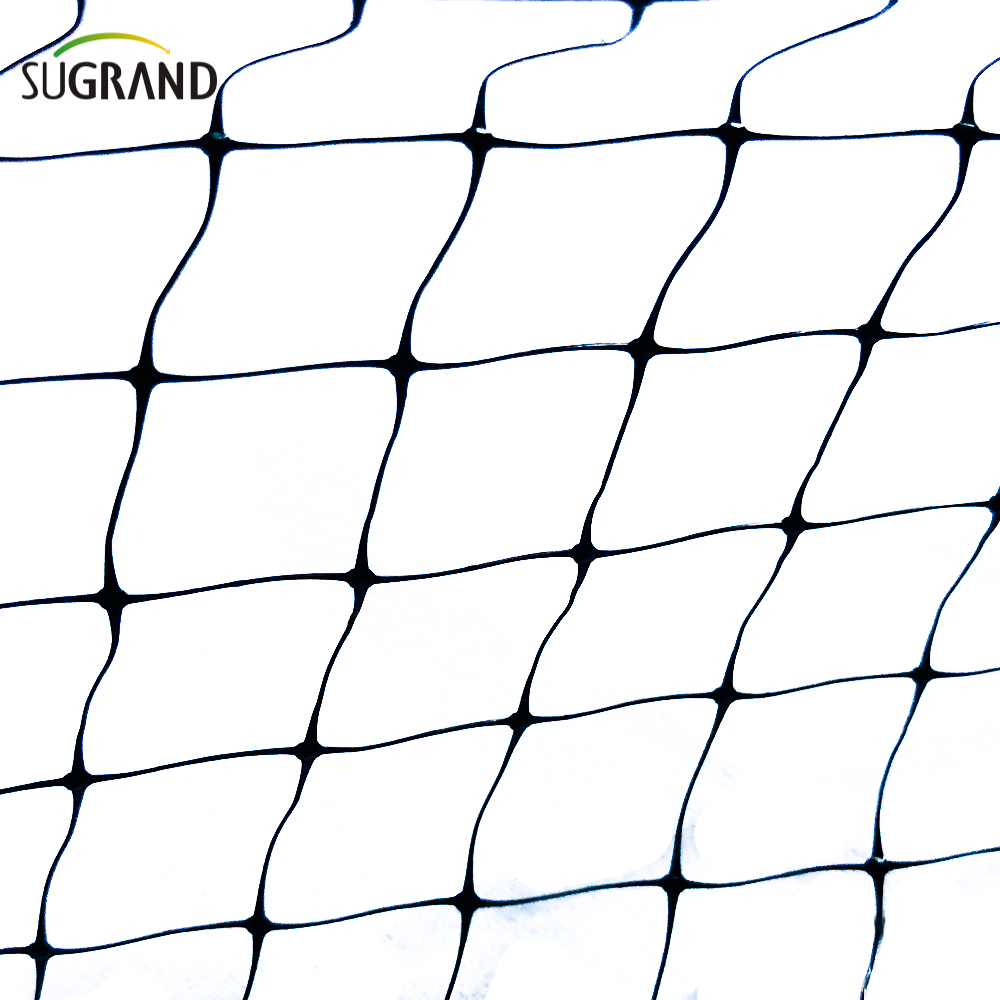 HDPE 200m anti-filet extrudé pour protéger les fruits de légumes