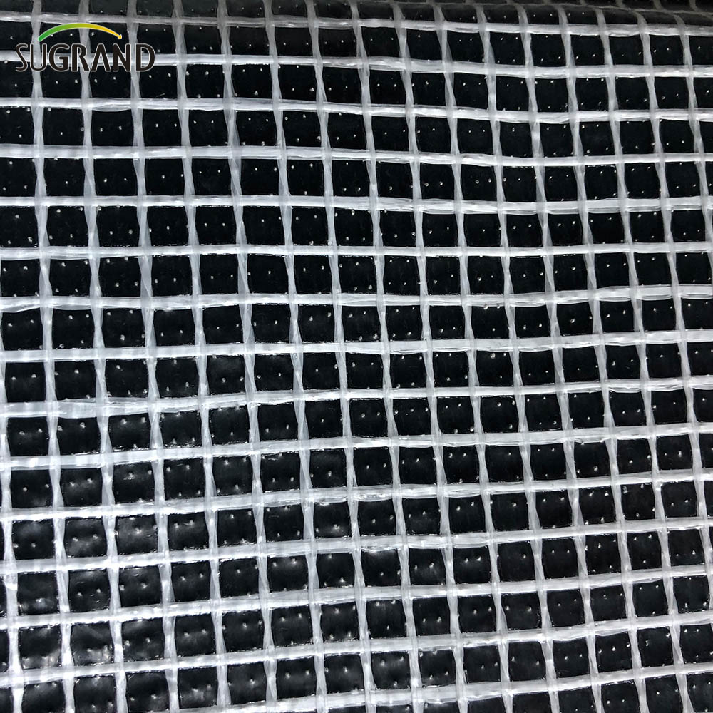 PVC Blanc Fireproof Mesh Sheet d'échafaudage
