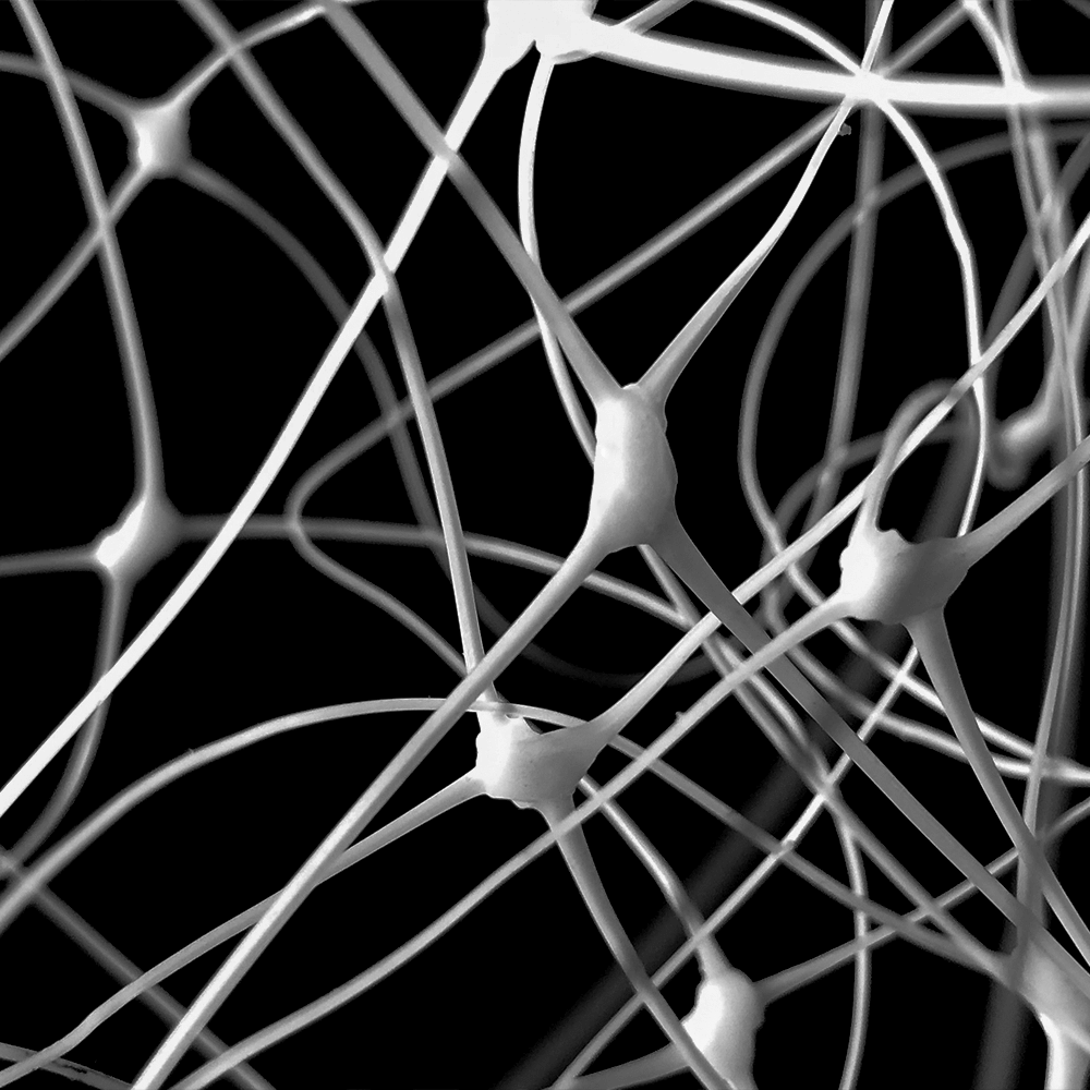 Support de soutien en treillis de jardin pour grimper les plantes extérieures