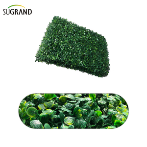 Feuilles artificielles de feuilles de palmier pour le jardin