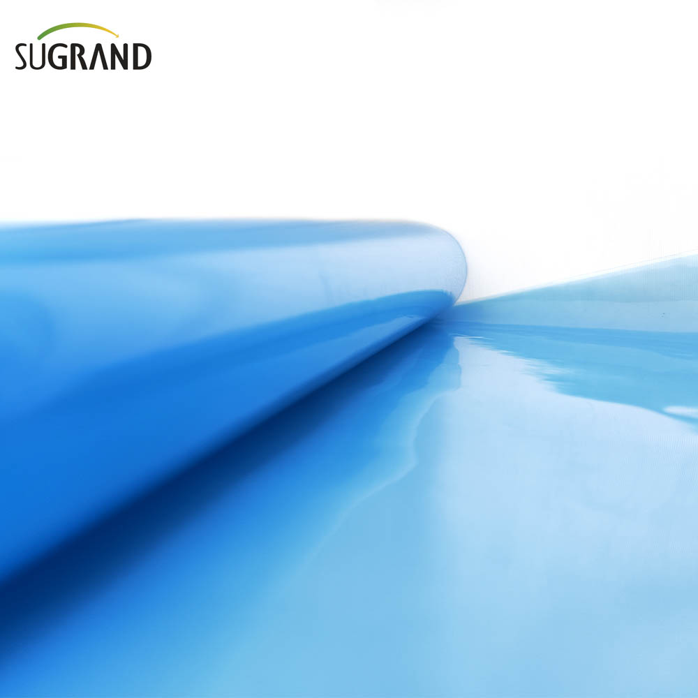  Film en polyéthylène en polyéthylène film en plastique en serre bleu 