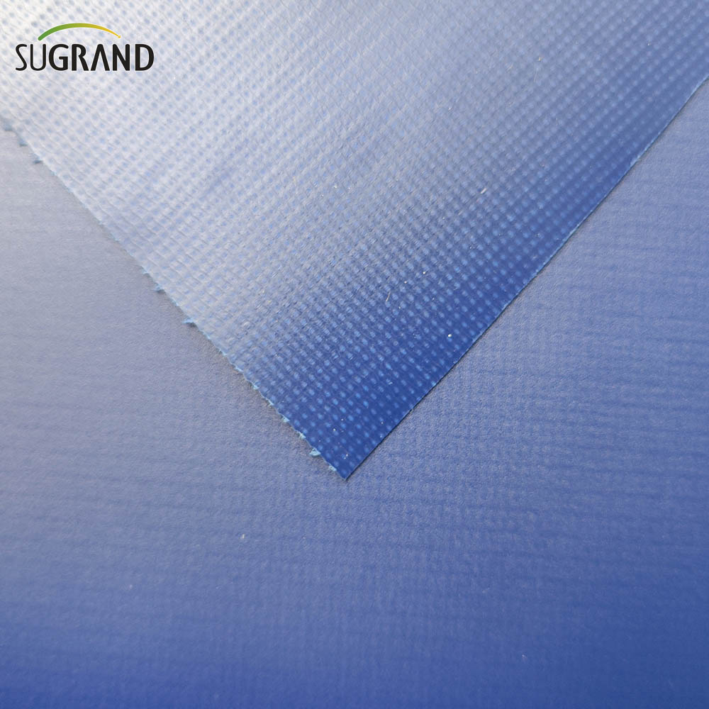 Tarpauline bleue 12x24 