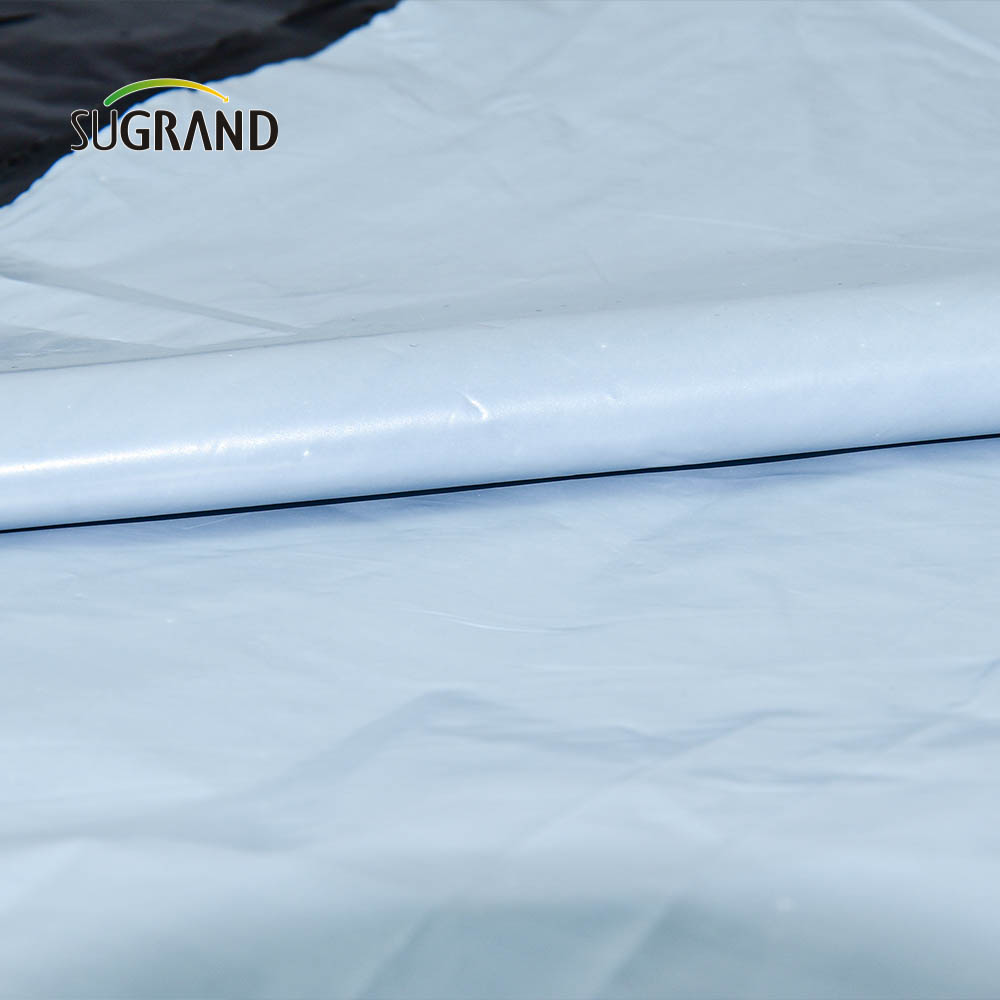 Usine de bonne qualité directement 10 microns - film de paillis biodégradable de 100 microns pour la ferme