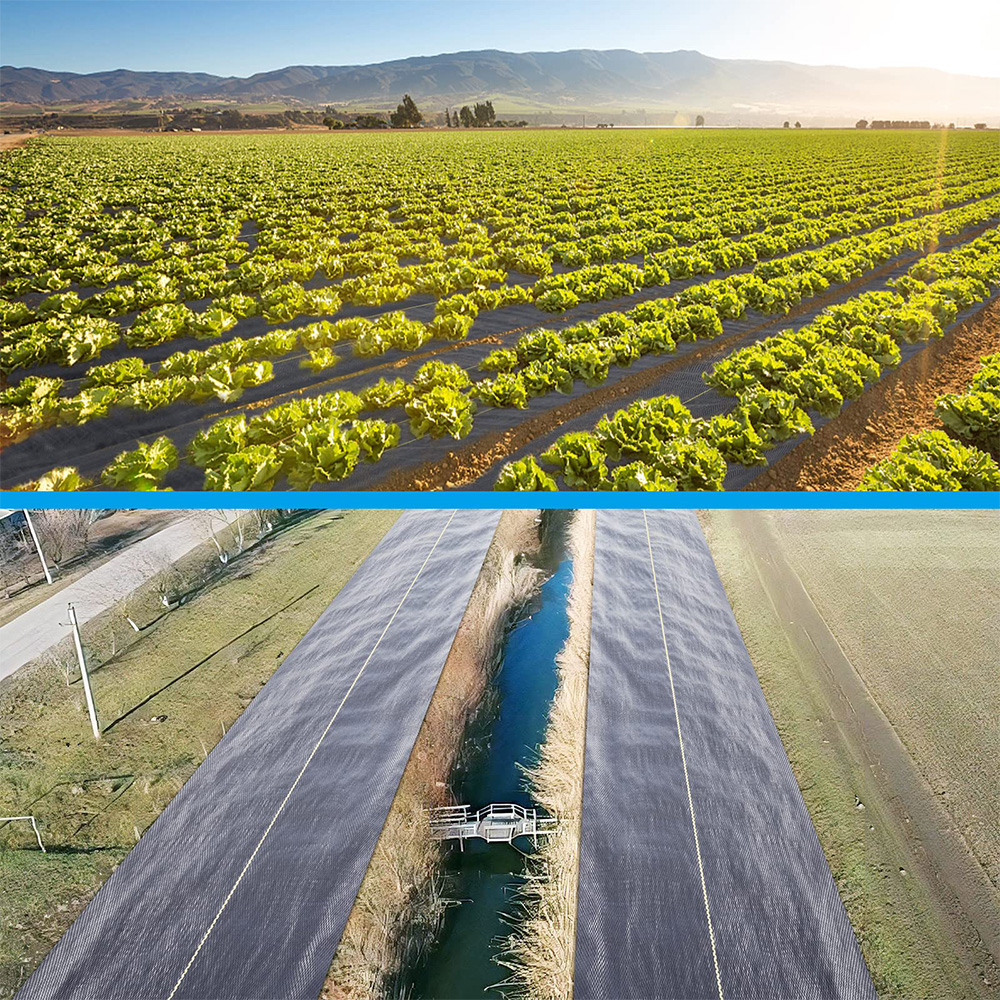 Polypropylène (PP) Couvre-sol tissé Barrière des mauvaises herbes