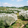 Filet anti-insectes en maille HDPE 40 pour légumes de serre