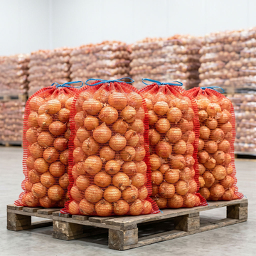 onion bag.jpg