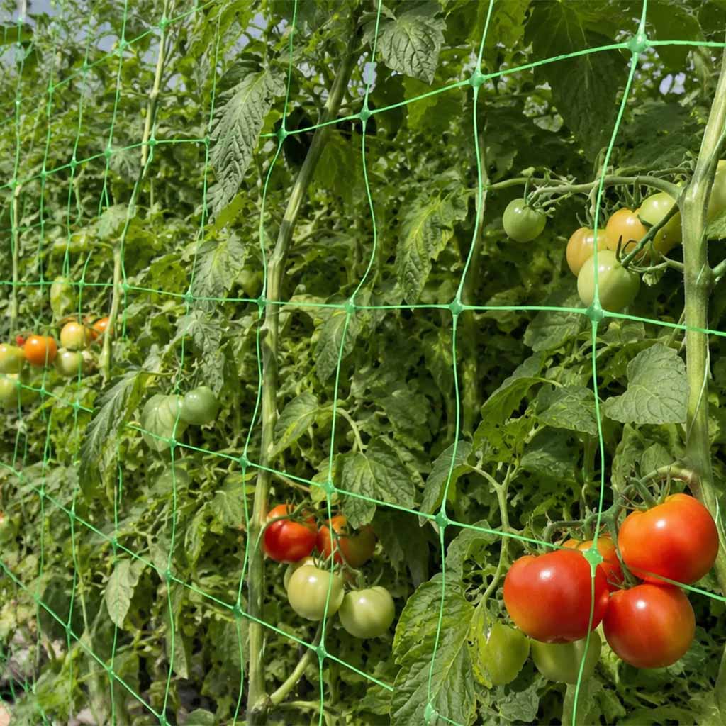 Filet de support pour plantes en gros et filet en treillis pour les cultures