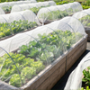 Filet anti-insectes HDPE stabilisé aux UV en gros