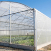Filet anti-insectes HDPE stabilisé aux UV en gros