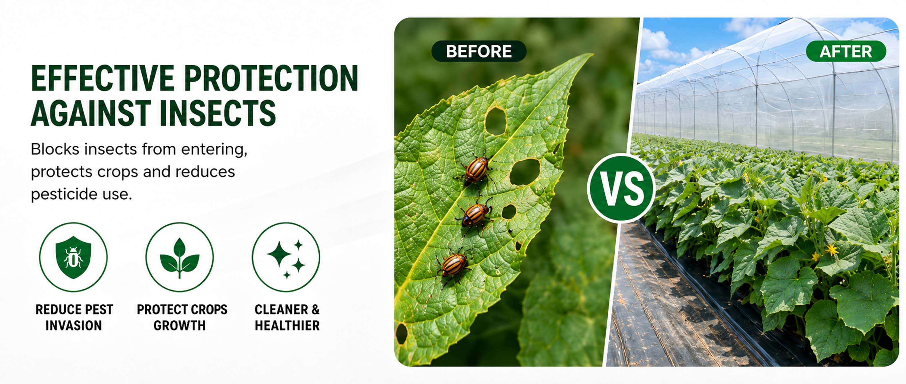 Filet anti-insectes fournisseur.jpg